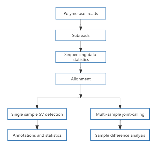 5、TGS - third-generation animal and plant resequencing.png