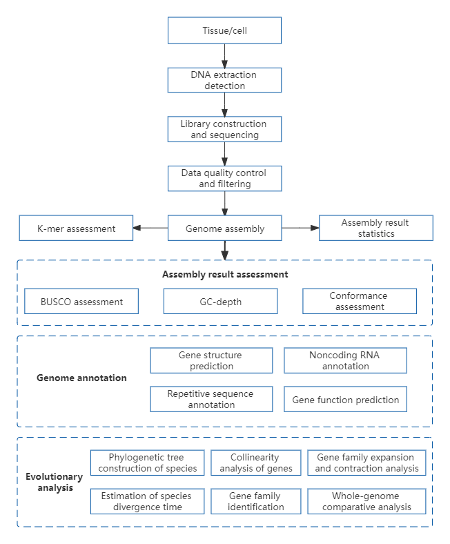 6、TGS - third-generation animal and plant de novo sequencing.png