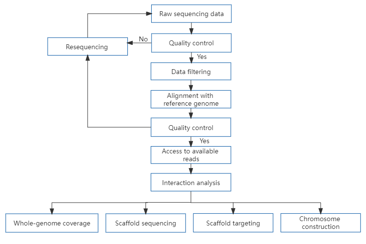 17、Hi-C sequencing - Hi-C assisted genome assembly.png