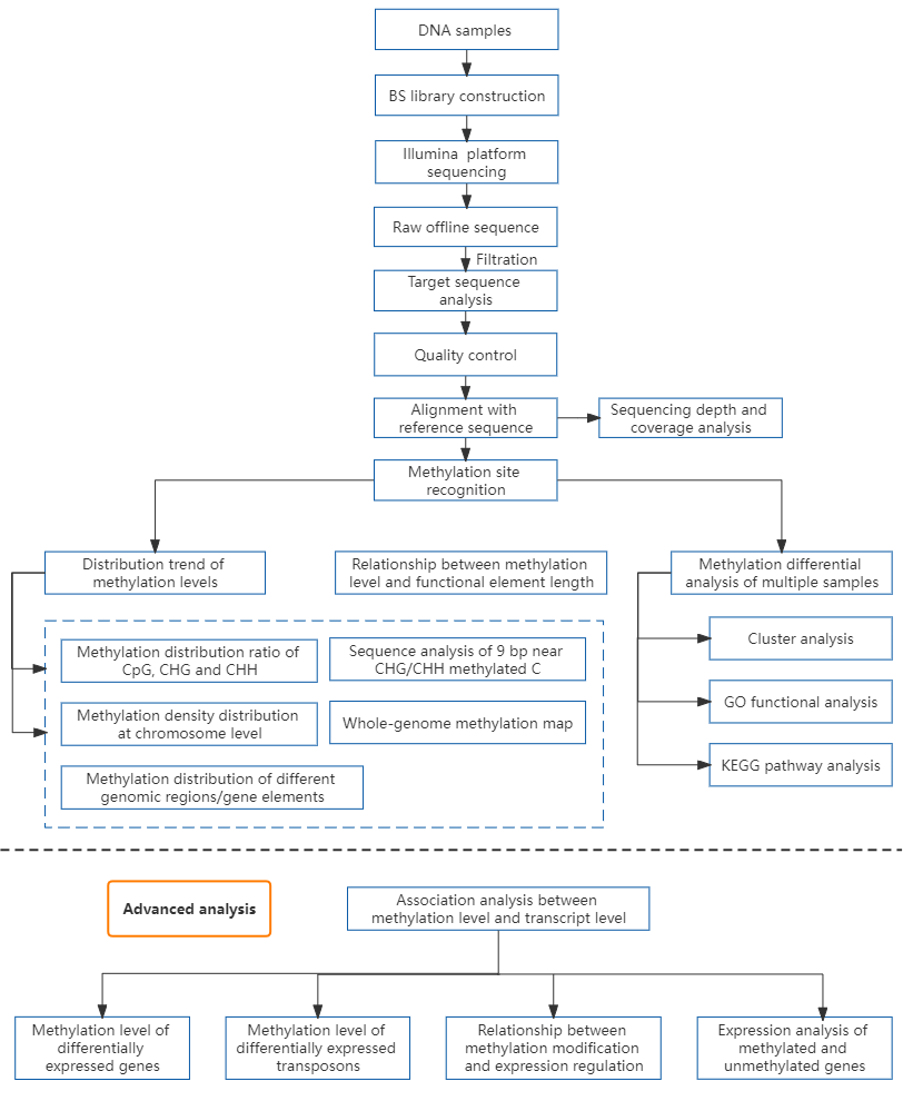 18、Epigenomics - whole-genome methylation sequencing.png